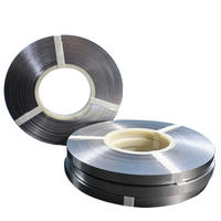 S32205 Stainless Steel Strips